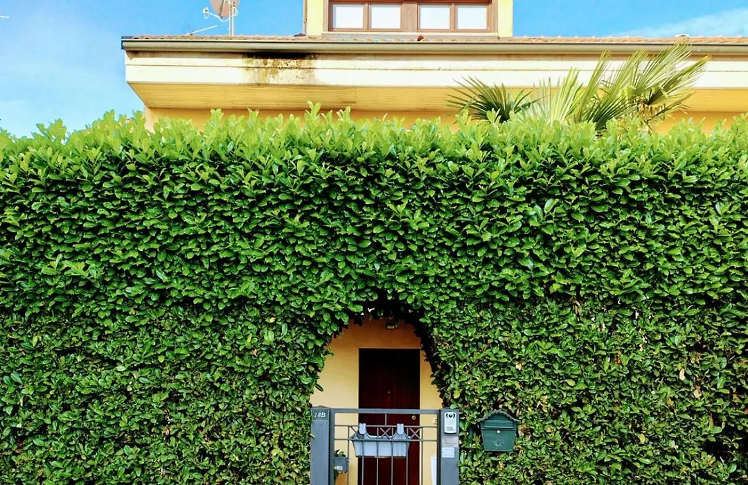 B&B La Delice-1